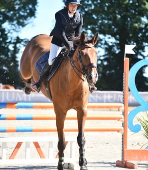 Femme à l'octacle avec un cheval