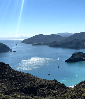 a view of a bay with boats in the water