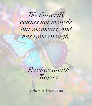 "The butterfly counts not months but moments."