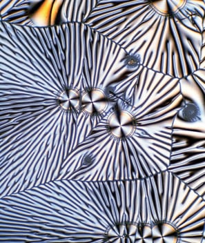 vitamin C under the microscope