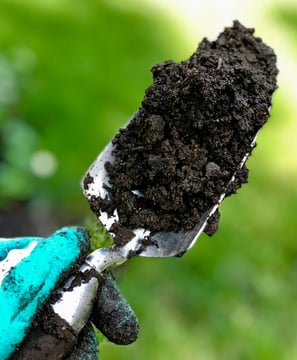 a person holding a shovel with dirt on it