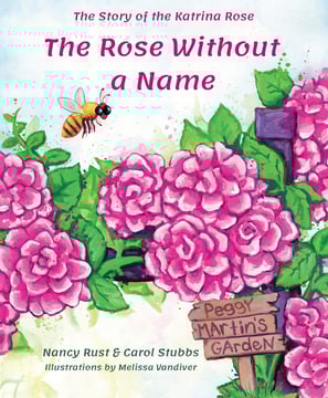 Illustrations from The Rose Without A Name by New Orleans artist Melissa Vandiver.