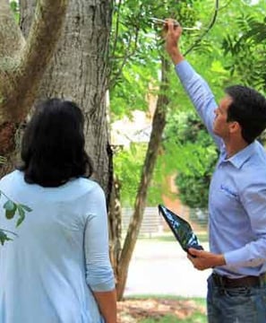 Comprehensive arbor consultation.