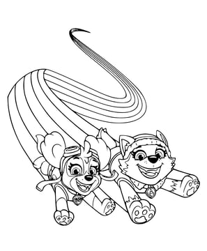 Kleurplaat van PAW Patrol Everest en Skye