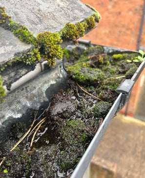 blocked gutter