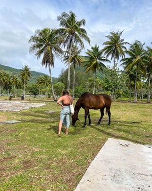 Manon et un cheval sur une plage avec des palmiers à Huahine