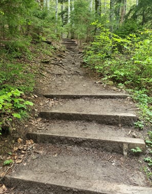 weg trampelpfad mit wurzeln und treppen