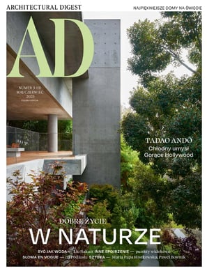 AD Polska magazine cover, June 2025