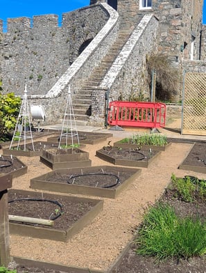 garden in front of steep stone steps