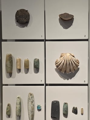 Various worked Neolithic ornaments