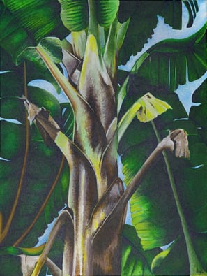 Close up painting of banana tree stem and leaves.