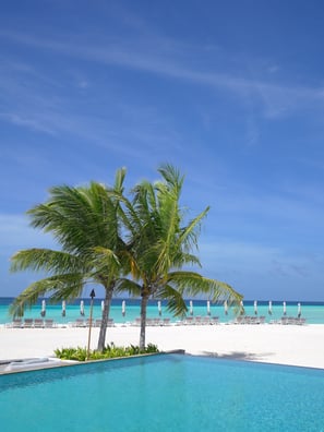 four-seasons-landaa-giraavaru-maldives-main-pool-2