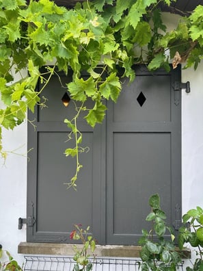 Double volet en bois gris