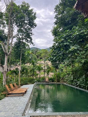 Picture of a pool in Pu Luong, jungle like, surrounded bylush trees 