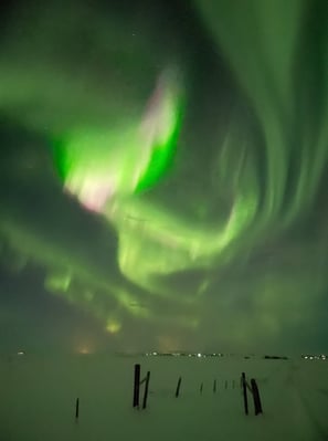 Aurora borealis or  Northern Lights near Selfoss, Iceland