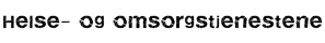 Statsforvalteren Helse, omsorg og sosialtjenester,Sofie Scott, Sara Cecilie Wilhelmsen Solheim,Hanne