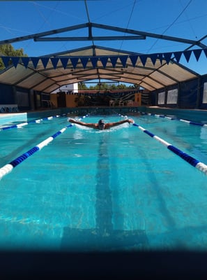 nadador por andarivel de piscina estilo mariposa