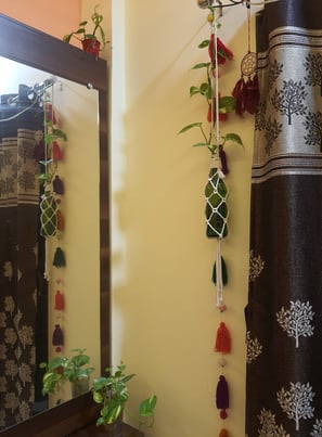 macrame plant hanging
