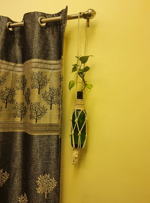 macrame plant hanging for living room