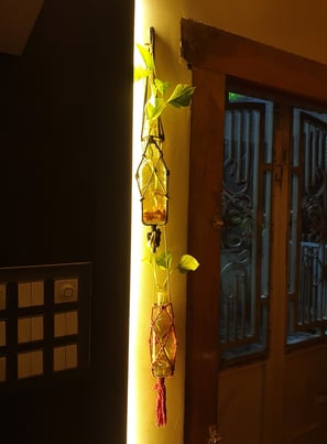 macrame bottle plant hanging