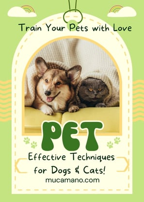 Dog training&Cat training