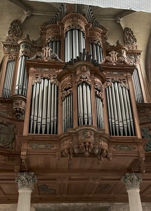 Large Organ