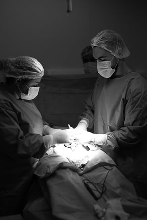 Ensaio Fotográfico Taty Pacheco Parto