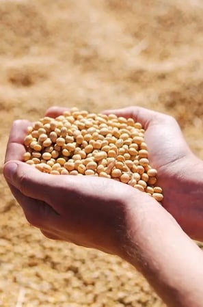 commodities