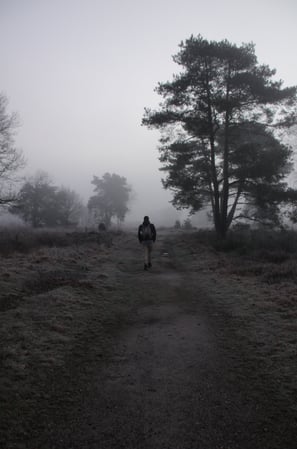 natuurcoach natuurcoaching veluwe heide mist be in nature