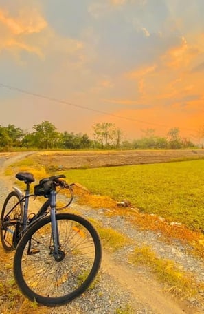 Bicycle path through morning glory fields at sunrise near Saigon Garden Homestay.