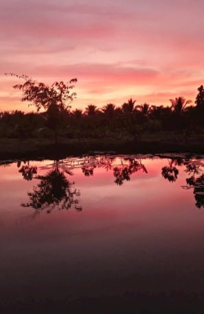 Peaceful sunset reflections on a pond near Saigon Garden Homestay.