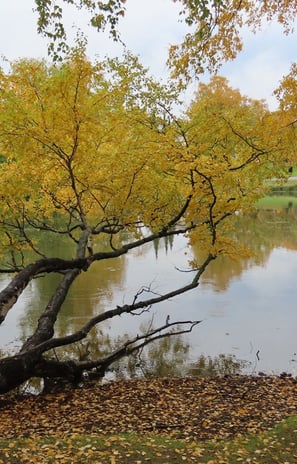 Herbstfarben