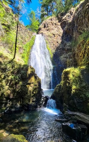 Waterfall Hwy, OR - Susan Creek Falls drops into a big pool, perfect to cool off in