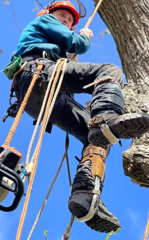 a man in a helmet is climbing up a tree