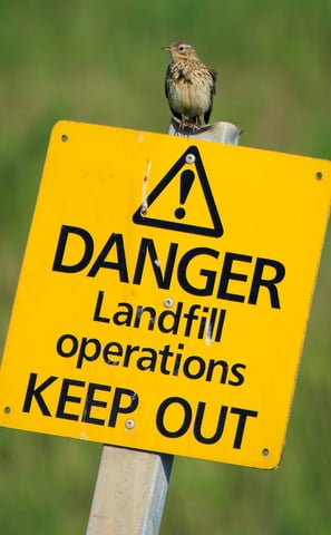 A Meadow Pipit sits on a warning site at a landfill.