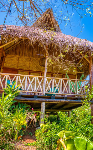 wooden bungalow with palapa roof