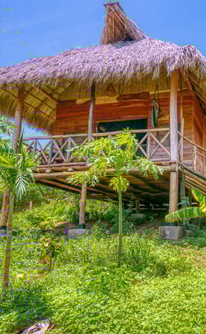 wooden bungalow with palapa roofs at ecoldoge