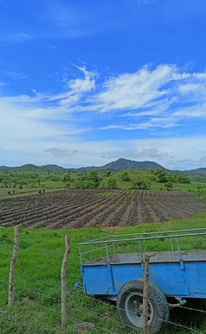 a blue carton with a trailer in the middle of a field
