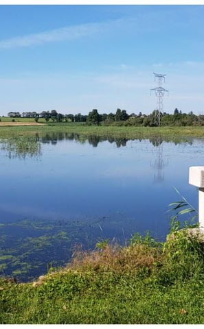 La Dombes, ses étangs et son calme