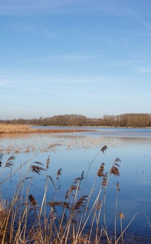 La Dombes et ses grandes étendues