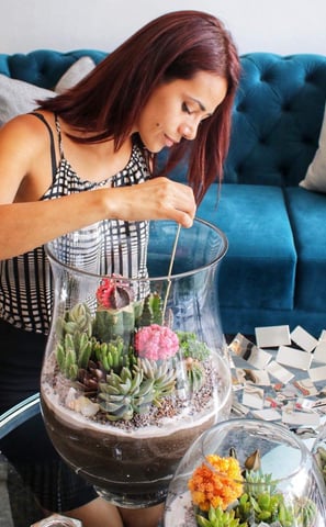 We create terrariums with the highest quality materials.