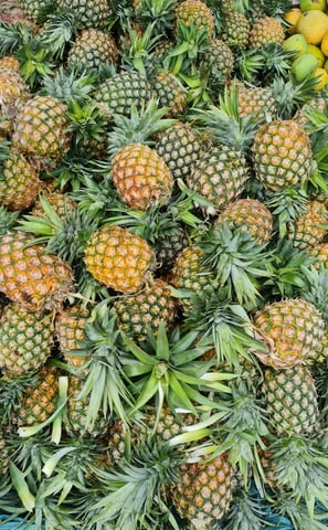 Ananas bio par NIMBA AGRO BUSINESS.