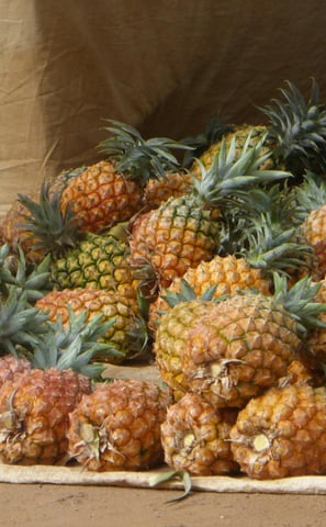 Ananas bio par NIMBA AGRO BUSINESS.