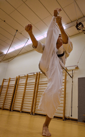 Bild Trainer Karate Kyokushinkai