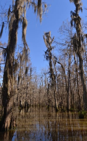 RV Rentals in Opelousas LA - Lightning RV Rentals of Louisiana