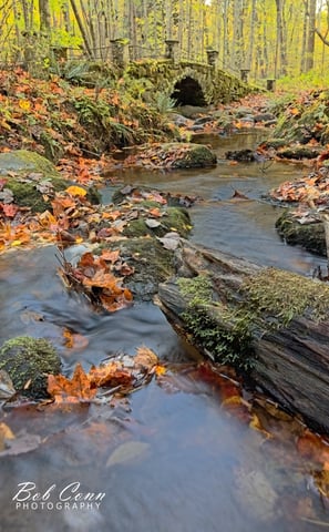 Stone Bridge | Great Smoky Mountains National Park