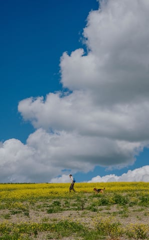 cane e padrone camminano in campagna sotto un cielo pieno di nuvole bianche