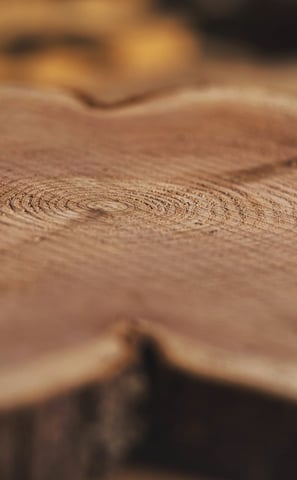 la vente de bois se fait à Tregrom