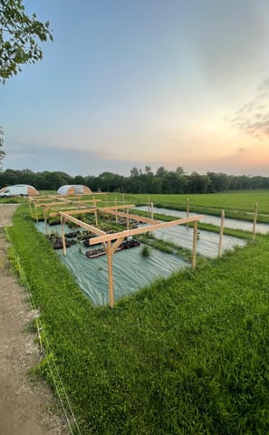 la pépinière un simple jardin à côté de la scierie mobile