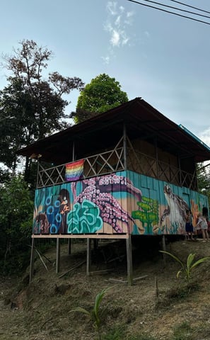 Murales de la Casa de la Tortuga, en Playa La Barra, Pacifico Colombiano